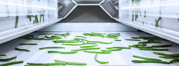 Intelligent Automation in Food Sorting: QA Engineering Behind a High-Capacity Food Sorting System